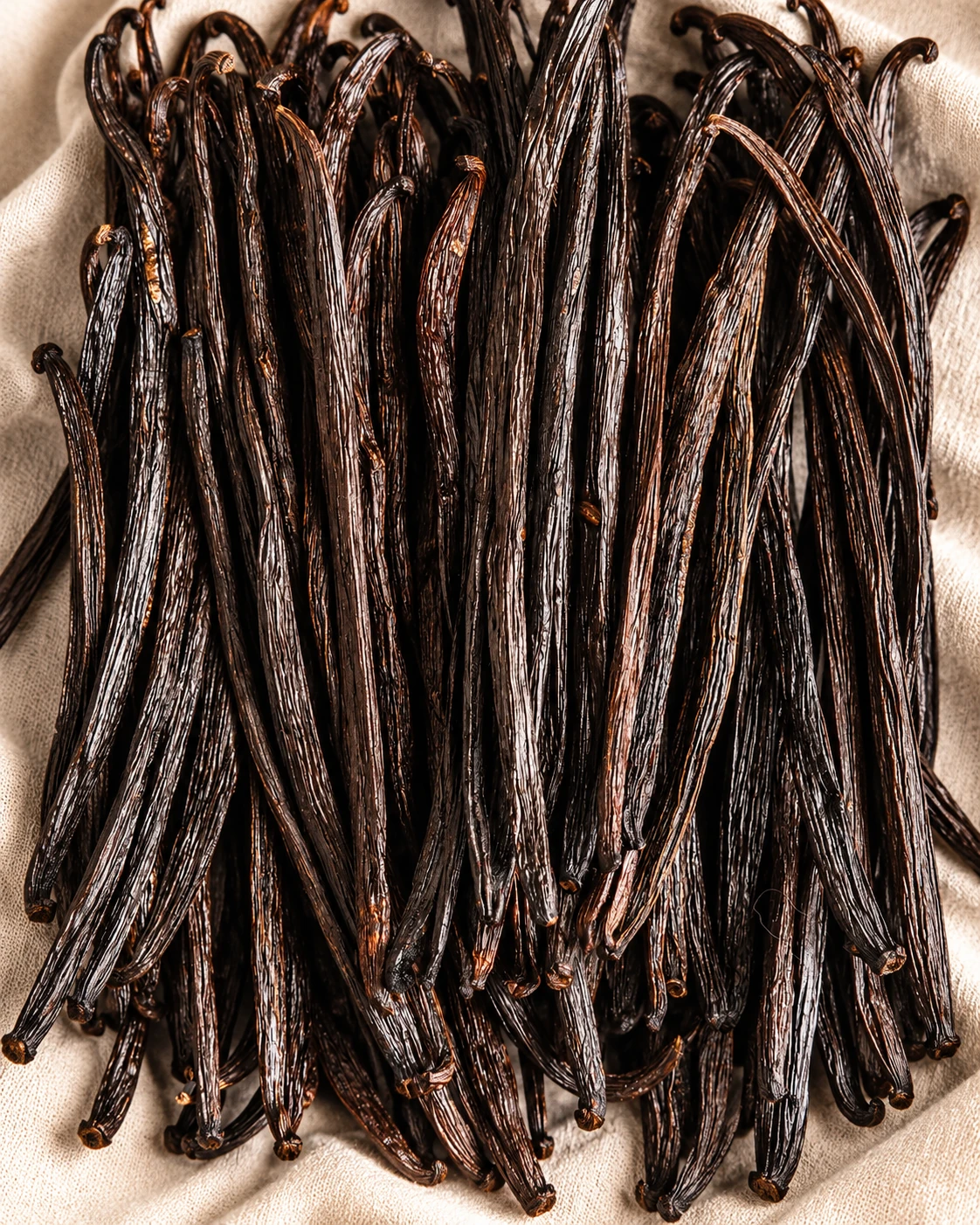 Close view of dark cured vanilla beans